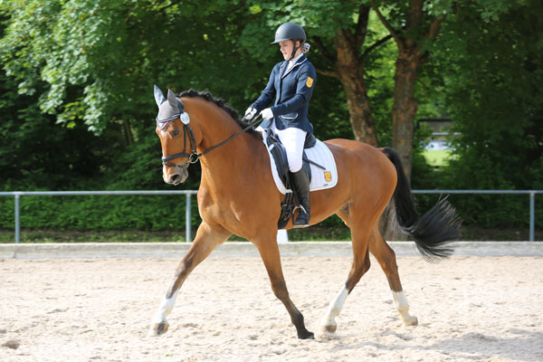 wpsv_dressur_01.jpg