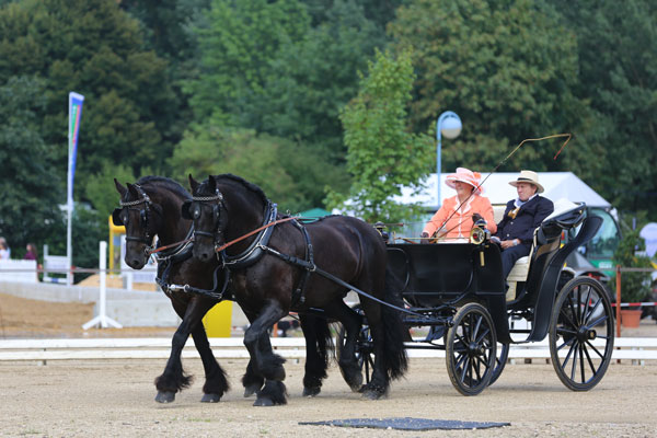 wpsv_fahren_02.jpg