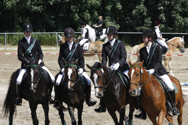 Quadrille vom Greenhof